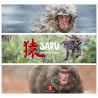 Saru - Donkeys of Japan
