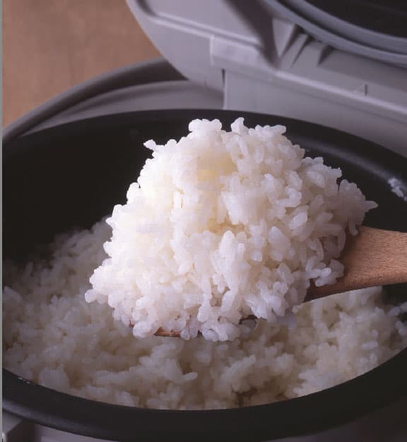Riz japonica juste cuit