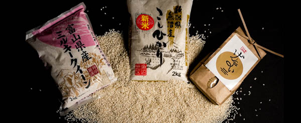 Riz japonais